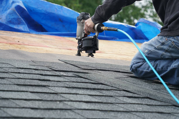 Best Roof Moss and Algae Removal  in Hudson Bend, TX