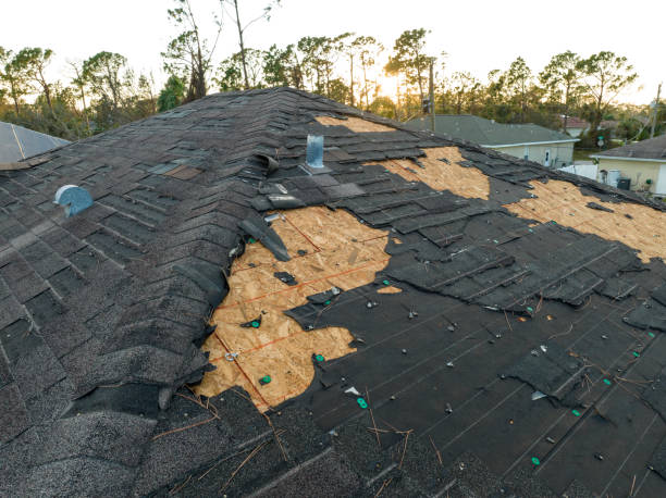 Best Asphalt Shingles Roofing  in Hudson Bend, TX